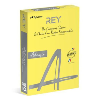 REY Ramette de 500 feuilles papier couleur ADAGIO+ 80g A4 jaune intense