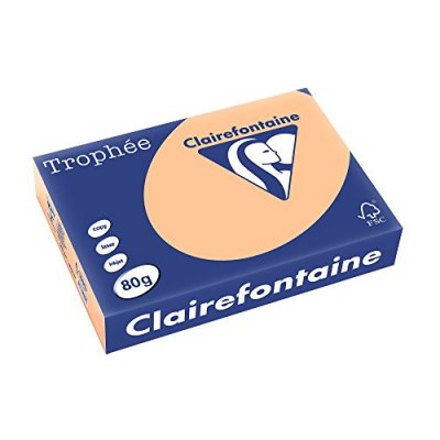 CLAIREFONTAINE Ramette de papier 500 feuilles A4 -  - 80 g - Abricot