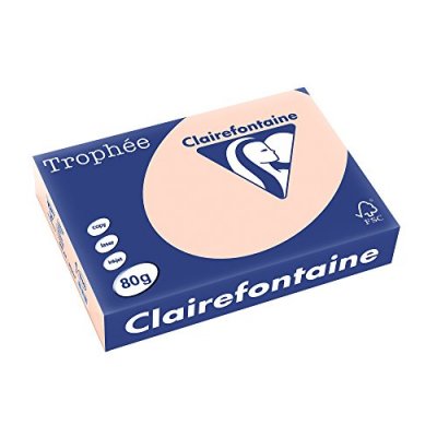 CLAIREFONTAINE Ramette de papier 500 feuilles A4 -  - 80 g - Saumon