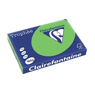 CLAIR ALFA Ramette papier couleur Clairefontaine A3 160g - Vert menthe