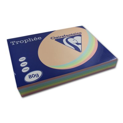 Ramette papier couleur Clairefontaine A3 80g - Assorties Pastel