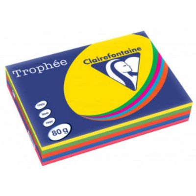 CLAIREFONTAINE Ramette papier couleur  A3 80g - Couleur intense