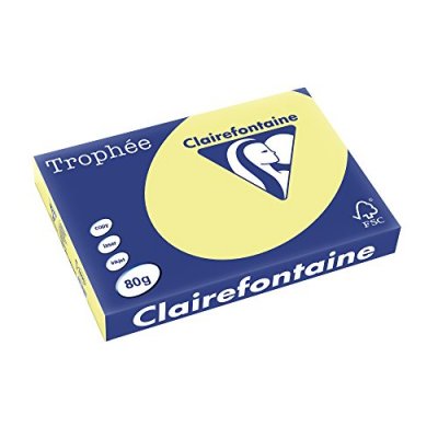 CLAIREFONTAINE Ramette papier couleur  A3 80g - Jonquille