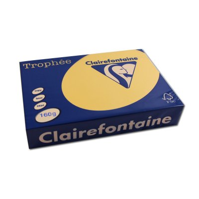 CLAIREFONTAINE Ramette papier couleur  A4 160g - Bouton or