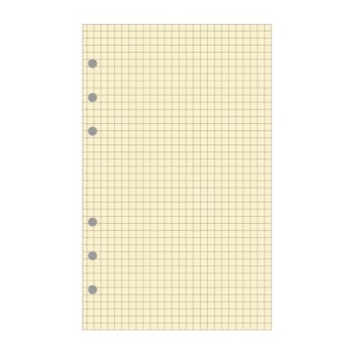 EXACOMPTA Recharge accessoire Exatime 21 bloc quadrill&eacute; 40 feuillets 210x142 mm