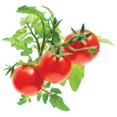 CLICK AND GROW Recharge Emsa  Pack Mini tomates 3 capsules