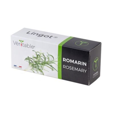 VERITABLE Recharge jardin d'int&eacute;rieur  romarin Multicolore 