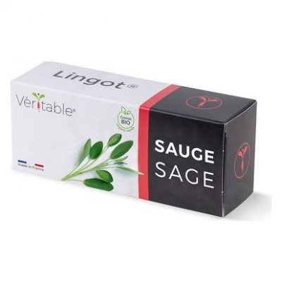  Recharge jardin d'int&eacute;rieur VERITABLE Sauge BIO Multicolore Veritable