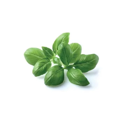 CLICK AND GROW Recharge triple de Basilic pour Smart Garden - 