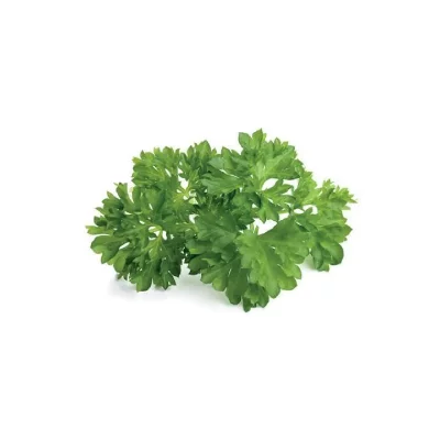 EMSA Recharge triple de persil pour smart garden - click and grow