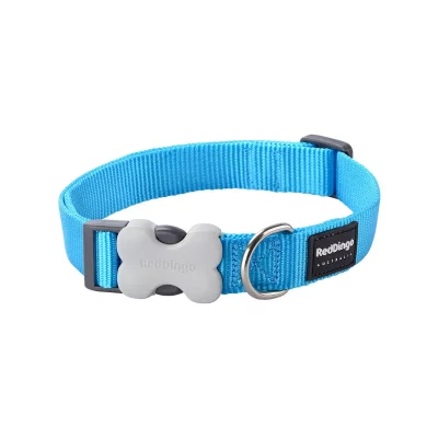 RED DINGO  Collier pour Chien Turquoise Taille L