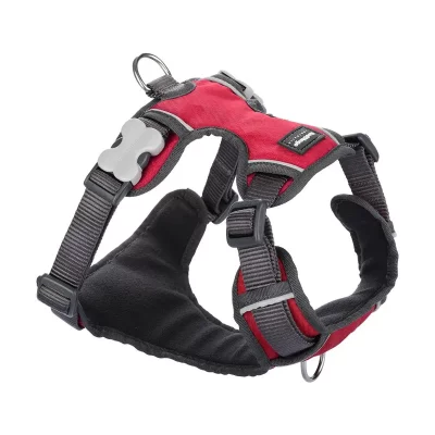 RED DINGO  - Harnais chien rembourr&eacute; Rouge Taille : T2 - Rouge