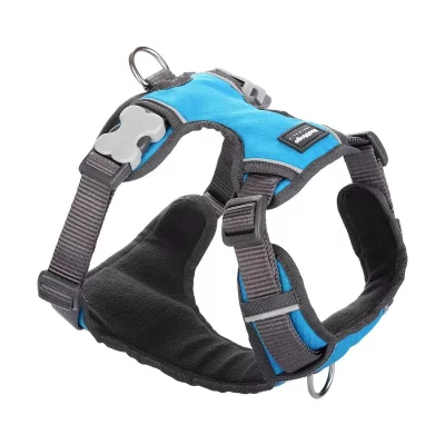 RED DINGO  - Harnais chien rembourr&eacute; Turquoise Taille : T3 - Turquoise