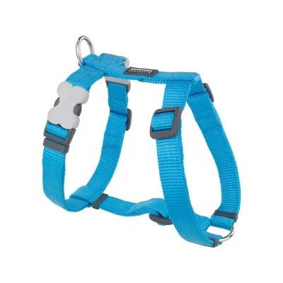 RED DINGO  - Harnais Pour Chien - Turquoise - S