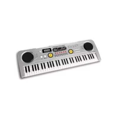 REIG MUSICALES Reig orgue &eacute;lectronique 61 touches - fonction concert ALP8411865089239