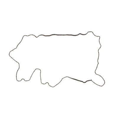 REINZ  71-38974-00 Joint d'&eacute;tanch&eacute;it&eacute;, couvre-culasse