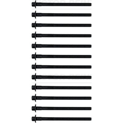 REINZ  Boulon / vis de culasse de cylindre 14-32305-01
