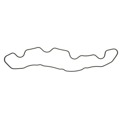 REINZ  Joint de cache culbuteurs 71-35511-00 LAND ROVER DISCOVERY