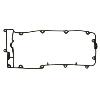 REINZ  Joint de cache culbuteurs 71-36824-00 LAND ROVER DISCOVERY