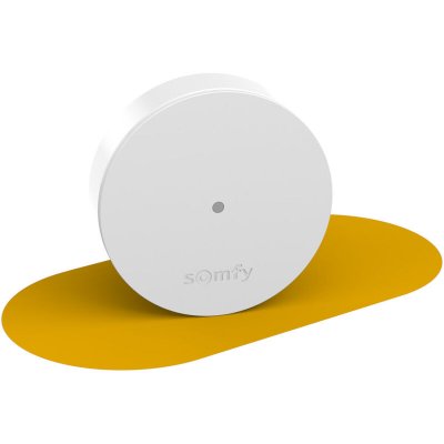 SOMFY Relais Radio  PROTECT
