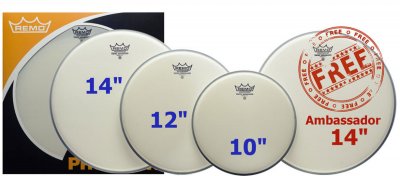 REMO  PP0110BA Lot de pr&eacute;packs de t&ecirc;tes de batterie ambassador rev&ecirc;tues
