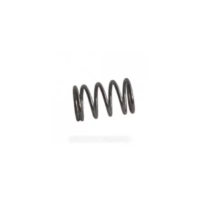 HOTPOINT Ressort crochet de porte pour Lave-linge  - Ariston C00052870