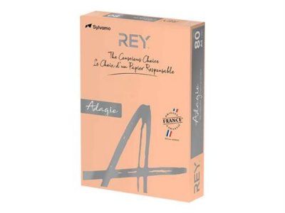 GENERIQUE REY&reg; ADAGIO, papier couleur saumon, 80g, A4, PEFC&trade;, ramette de 500 feuilles
