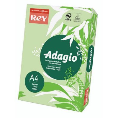 REY  Ramette 500 feuilles papier couleur vive ADAGIO Vert vif A4 80g - Lot de 2