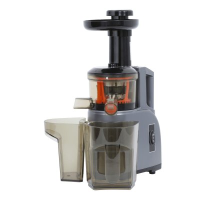 R.G.V. Rgv Green Juice Estrattore Di Succo 150 W Nero, Grigio