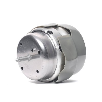 RIDEX  247E0407 Support moteur avant gauche Support hydraulique