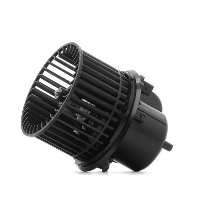 RIDEX  2669I0075 Pulseur d'Air sans r&eacute;gulateur int&eacute;gr&eacute;