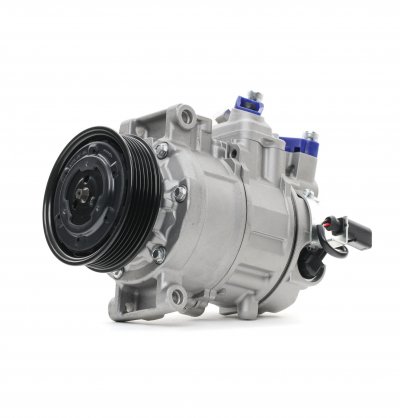 RIDEX  447K0079 Compresseur de climatisation 6SEU14C PAG 46 R134a
