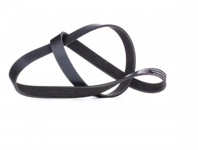 RIDEX  Courroie Poly-V 305P0064 pour PUNTO (188) 1200mm 21,36mm