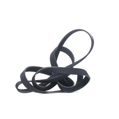 RIDEX  Courroie Poly-V 305P0469 pour FMX II pour T 2711,0mm