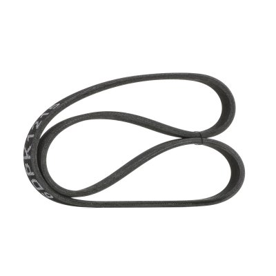RIDEX  Courroie Poly-V VW,SEAT 305P0153 038903137S,038903137S