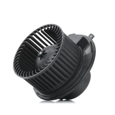 RIDEX  Pulseur d'air habitacle 2669I0120 pour Golf V Schr&auml;gheck (1K1) 1,52kg