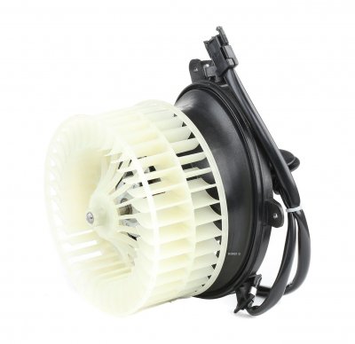 RIDEX  Pulseur d'Air MERCEDES-BENZ 2669I0080 1248200142 Pulseur De Chauffage,Pulseur d'air habitacle