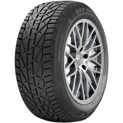 RIKEN  Suv Snow 225/65R17 106H