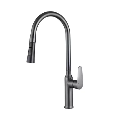 AVIZAR Robinet de Cuisine Extensible Embout R&eacute;tractable Flexible Noir/Argent