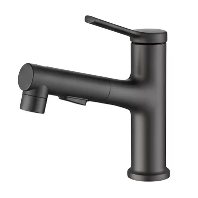 AVIZAR Robinet de Lavabo Extensible avec Fonction de Rin&ccedil;age Buccal Noir