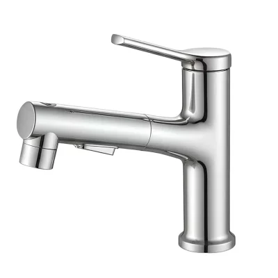 AVIZAR Robinet de Lavabo Extensible Multifonction avec Fonction Rin&ccedil;age Buccal Argent