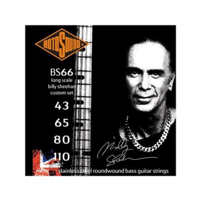 ROTOSOUND  Bs66 Billy Sheehan Signature - Jeu De Cordes Basse - 43-110
