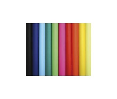 CLAIREFONTAINE Rouleau de 10 feuilles affiche couleur 75g 60x80 cm couleurs assorties Ecole