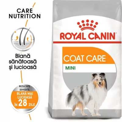ROYAL CANIN SIZE Royal Canin Ccn Mini Coat Care 3kg Dog Food Multicolore 3kg
