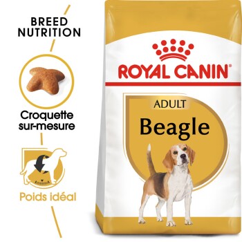 ROYAL CANIN BREED Royal Canin - Croquettes Beagle pour Chien Adulte - 3Kg