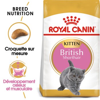 ROYAL CANIN BREED Royal Canin Kitten British Shorthair pour chaton 2 x 10 kg