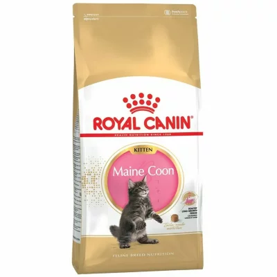 ROYAL CANIN  Kitten Maine Coon Nourriture pour Chat 2 kg