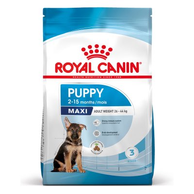 ROYAL CANIN  - maxi junior - 4 kg