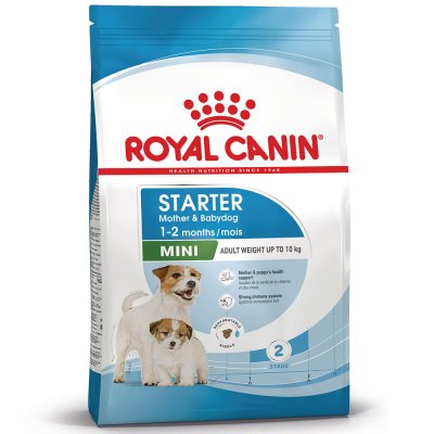 ROYAL CANIN  Mini Starter Mother & Babydog pour chiot 2 x 8 kg