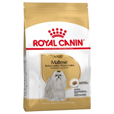 ROYAL CANIN  Race Bichon Maltais